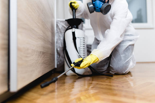 Best Pest Removal Services  in Royal Kunia, HI