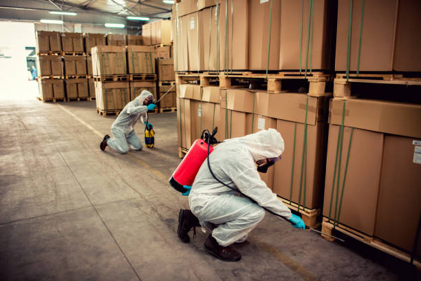 Best Pest Inspection Near Me  in Royal Kunia, HI