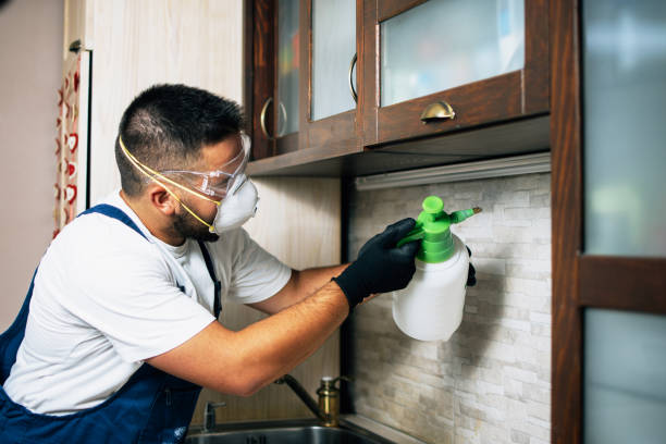 Reliable Royal Kunia, HI Pest Control Solutions