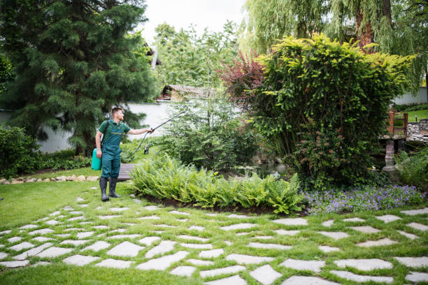 Best Mosquito Control Services  in Royal Kunia, HI