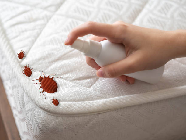 Best Emergency Pest Control  in Royal Kunia, HI