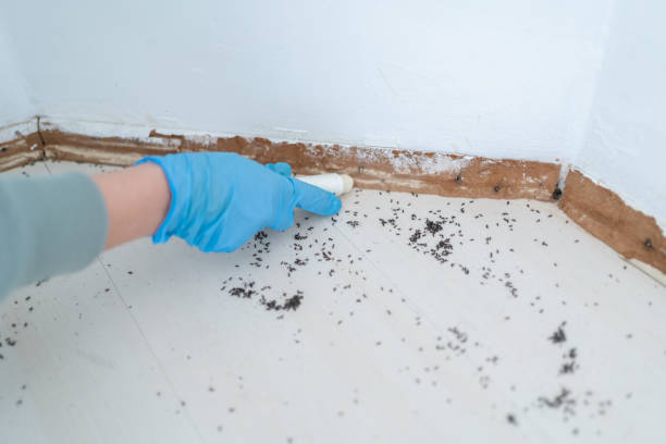 Best Commercial Pest Control Services  in Royal Kunia, HI