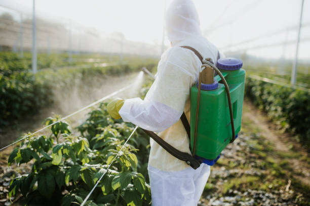 Best Affordable Pest Control Services  in Royal Kunia, HI
